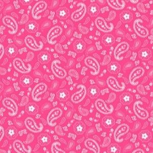 Meet your Posher, Lucy